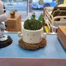 평화의료기 이미지