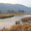 새마을약국 이미지