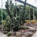 일출하우스 이미지