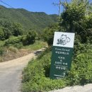 파인포레스트 | 울산 언양 카페 파인 포레스트 한식브런치 후기