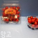 달~콤한 과채류 토망고, 스테비아 토마토 이미지