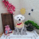 개츠비유치원&호텔 | 시간역행 모아일상(성수,잠실,아이유콘서트,도산 등..)