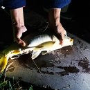 백달낚시터 이미지