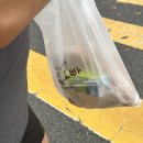 이안유치원 | 서산 성연 빵집오빠 무방부제 모든 빵이 1,000원 내돈내산 후기