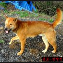 용포축산 이미지