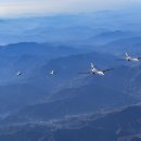 ‘죽음의 백조’ B-1B 한반도 출격…F-35A와 훈련 실시[청계천 옆 사진관] 이미지