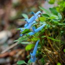 모라동우체국 이미지