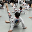 용인대호수태권도장 이미지