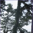 부안변산마실길 이미지