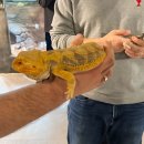 광명로 323번길 | 이색데이트 :) 단대오거리 실내 동물원 애니멀존 아이랑 가볼만한곳 친칠라 매력에 빠지고 온 내돈내산후기