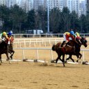 경마공원 이미지