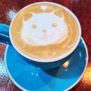 개포하나공인중개사사무소 이미지