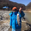 화도낚시터 Daum카페
