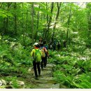 ♣6/19(토) 운탄고도 하늘하고 가장 가까운 화원 구름위 하늘 데이지 꽃길과 백운산 마천봉 이미지