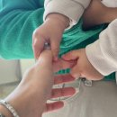 하벳 케이크 이미지