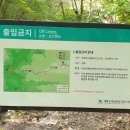 (충남_공주) 계룡산 동학사계곡 중 은선폭포 일부구간 폐쇄 이미지