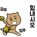 닥터호오 동물병원 이미지