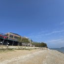 소나무집 이미지