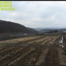 청송주택 주변 이미지