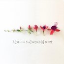 사동중학교 네이버블로그