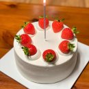 해피독스 애견샵 이미지