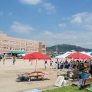 성주중앙초등학교 이미지
