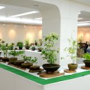 보강천1 이미지