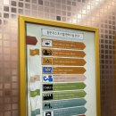 사파이어노래연습장 이미지