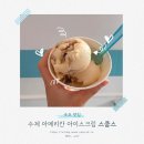 속초고속버스터미널 | 속초 여행 필수 코스 | 속초 고속버스터미널 옆 수제 아이스크림 맛집 스쿱스 후기