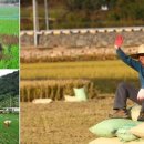 농군마을 이미지