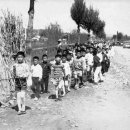 학성초등학교길 이미지