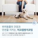 하늘디자인 이미지