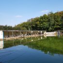 숲속낚시터 이미지