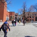 마로니에공원 이미지