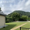 처음처럼 애견펜션 이미지