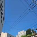 (주)파란바다여행사 | 울릉도 가족여행 / 아라여행사 울릉도 3일차 / 독도전망대 케이블카 후기 / 울릉도 독도박물관