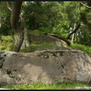 빗접바위 이미지