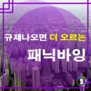 더바잉