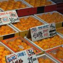 느루 | 2026 제주 도민 맛집 추천! 정성듬뿍제주국, 서귀포 돈사빠, 선채향 전복칼국수, 이보커 브런치, 초로...