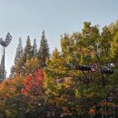 서울Y유도 체육관 | [BTOB] 이창섭 단독 콘서트 &lt;EndAnd&gt; 서울 첫콘 후기