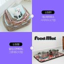 코리아펫 이미지