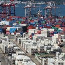 일신바이오테크 이미지