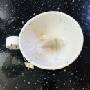 별다뷰 수족냉증,피부미용,변비,동맥경화에 효과가 있는 쑥차 마시면서 쑥 효능도 함께 알아봐요!