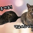 연산면 덕바위농촌체험휴양마을 이미지