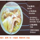 계두농장 이미지
