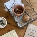 미미메종 이미지