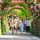 장미공원 화장실 이미지