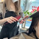 헤비수헤어성안점 네이버블로그