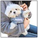 좋은강아지 | 펫데일리 반려동물 후드 니트, 겨울에 좋은 강아지니트 후기