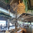 아덴+(Aden+) 이미지